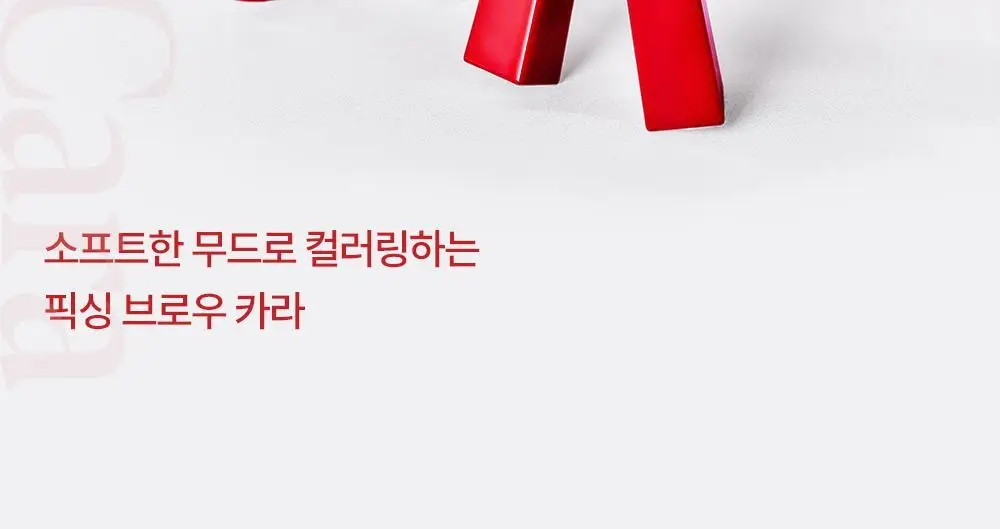 [페이크 블리치] 에스쁘아 더브로우 컬러 픽싱 카라 6 Colors 상세페이지 6